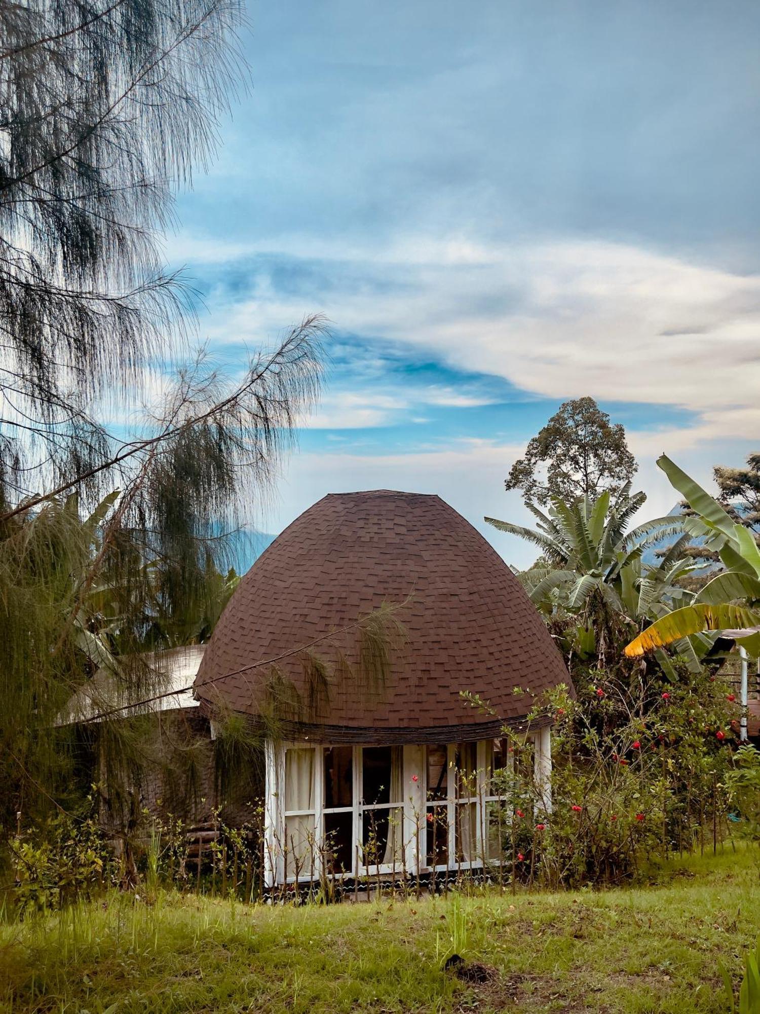 Manulalu Jungle Hotel Bajawa Exterior photo