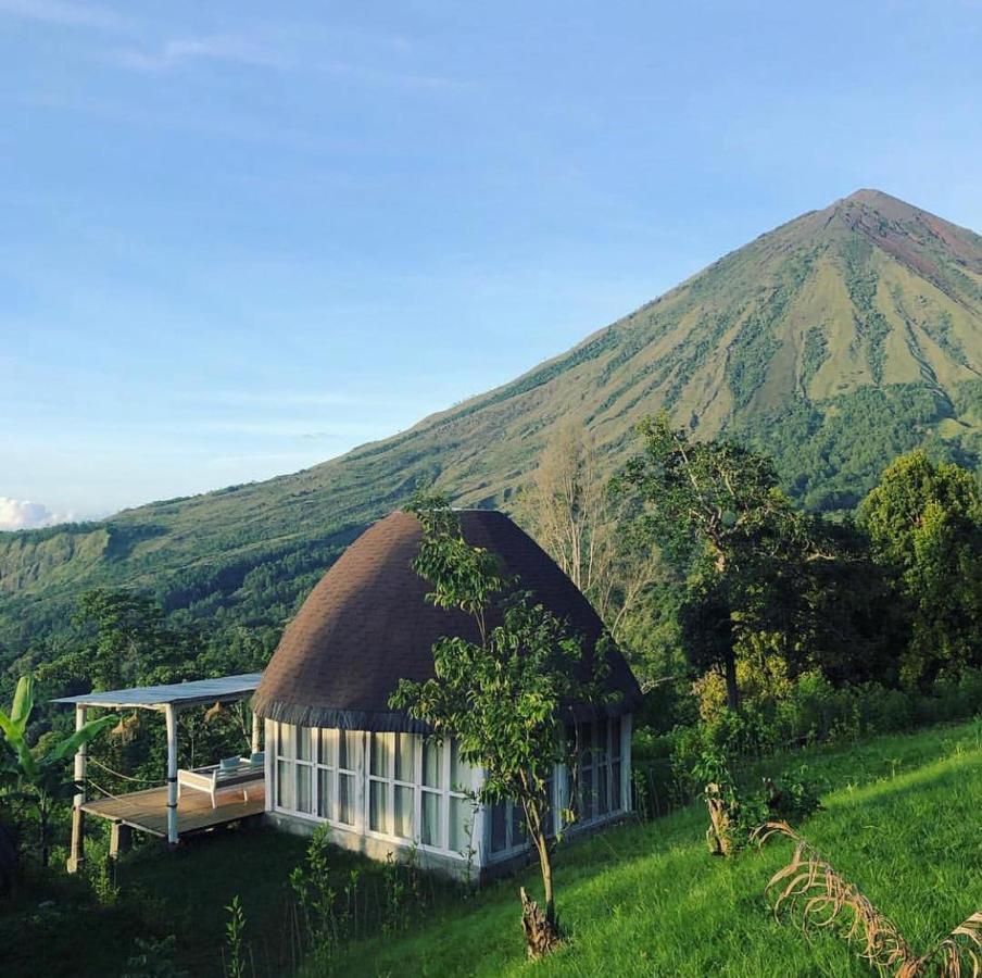 Manulalu Jungle Hotel Bajawa Exterior photo