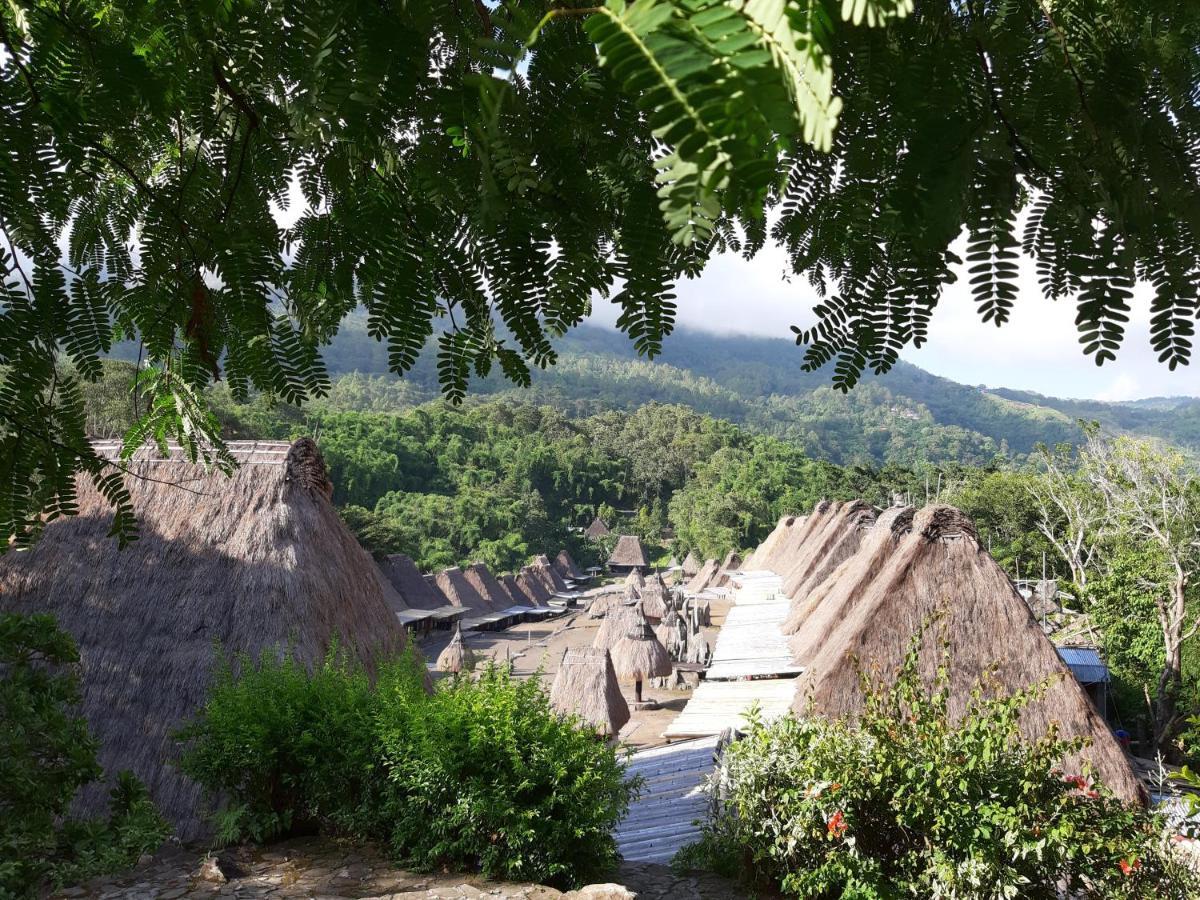 Manulalu Jungle Hotel Bajawa Exterior photo